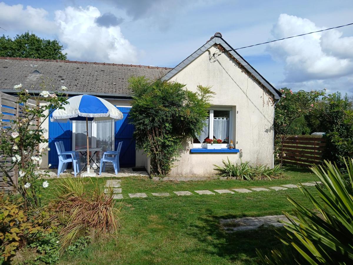 Le triskel bleu - B&B Saint-Thual