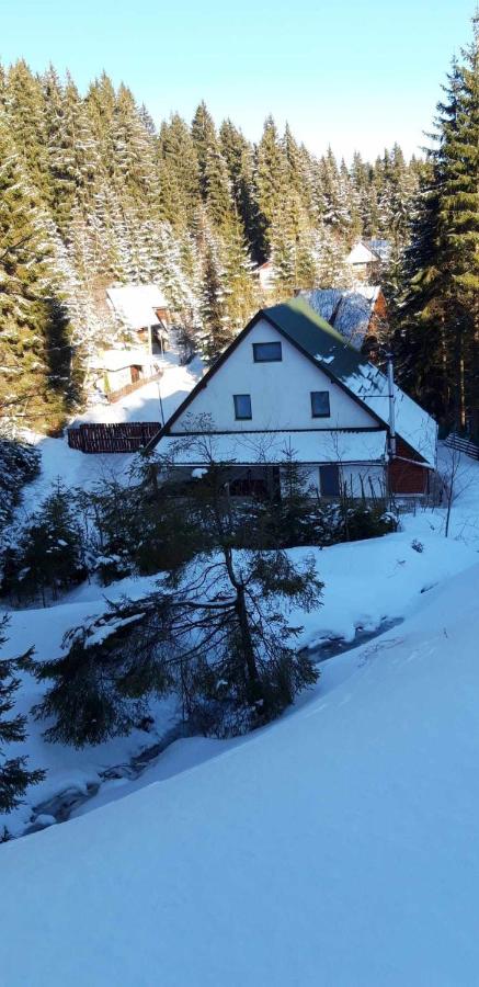 Star Panzió - B&B Miercurea Ciuc