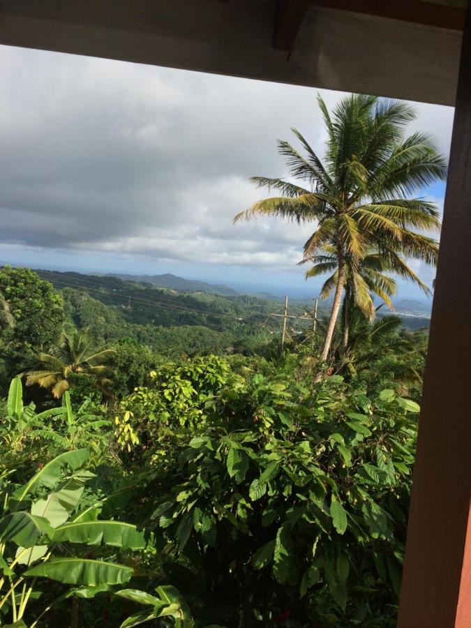 Montete Hilltop Cottage with Stunning Panoramic Views - B&B
