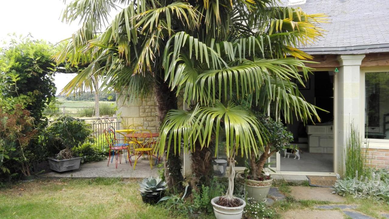 La Motelle N 5 - B&B