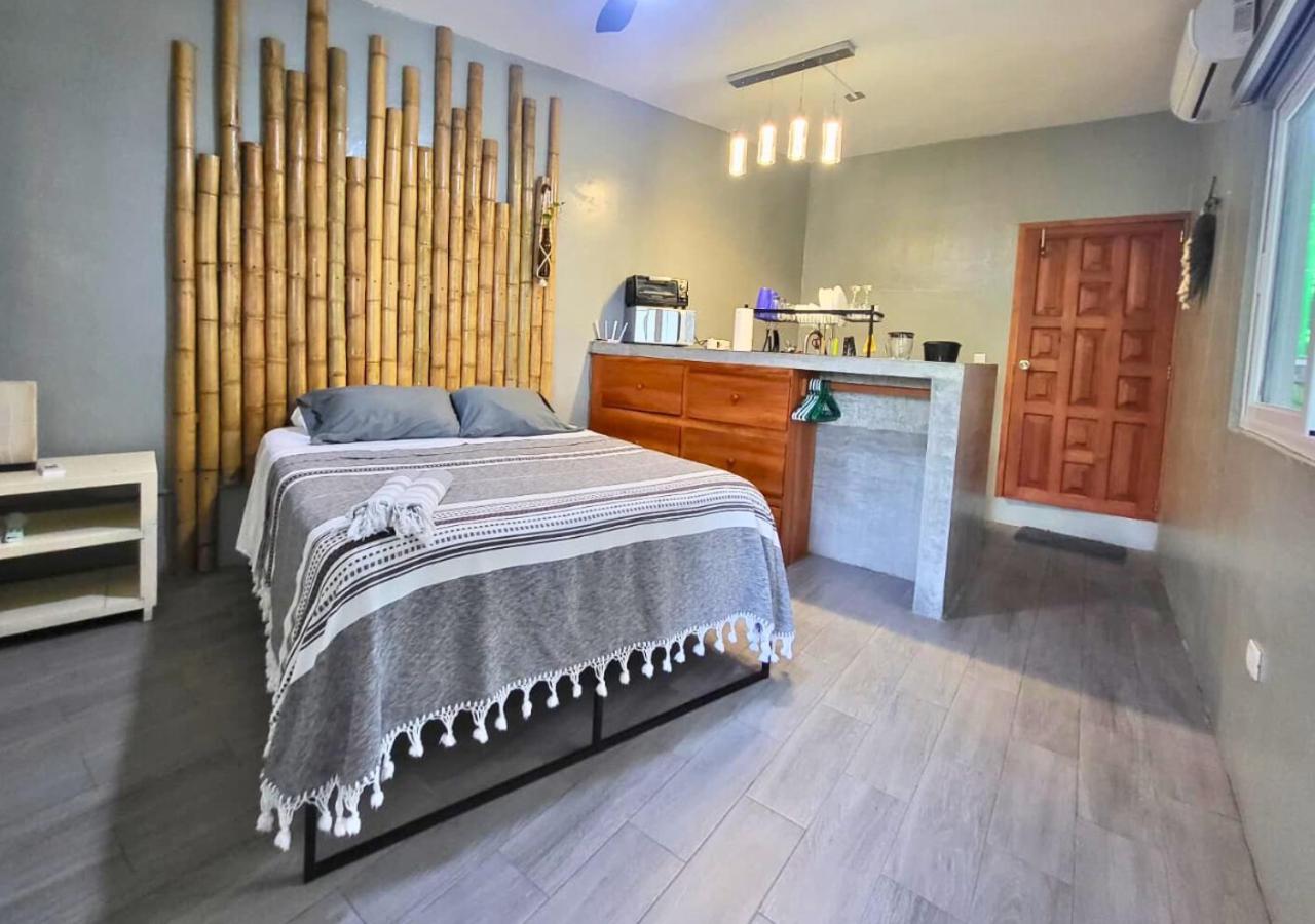 Appartamento con 1 Camera da Letto e Vista Giardino