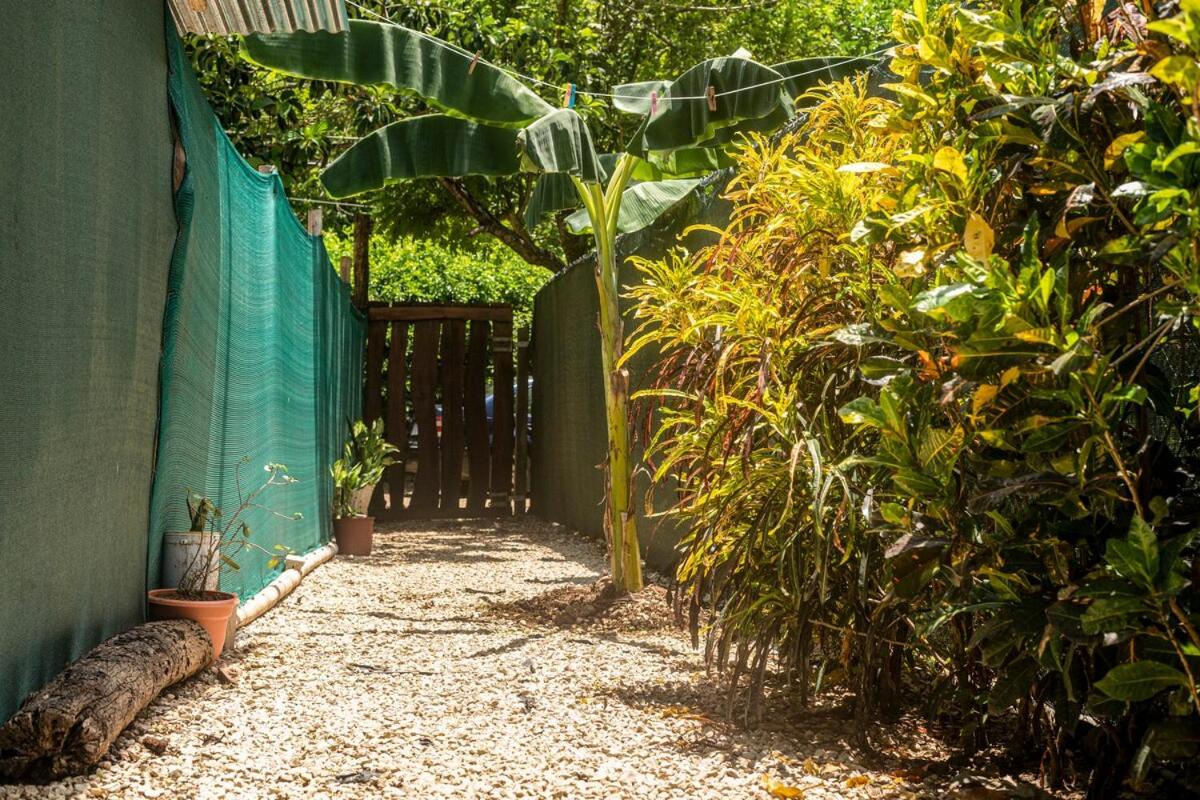 Quiet cabin 10 minutes from the sea - B&B Nicoya