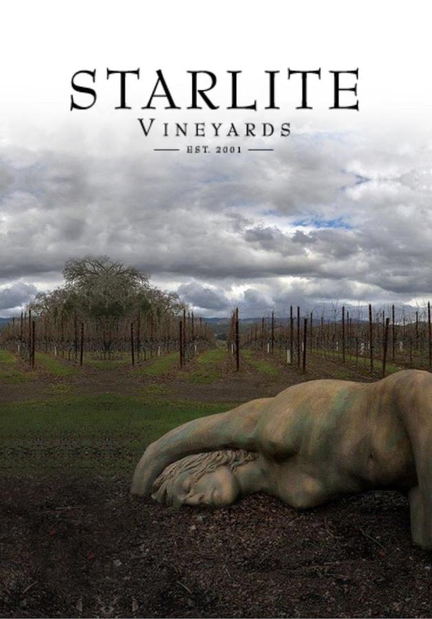 Starlite Vineyard Escape - B&B Geyserville