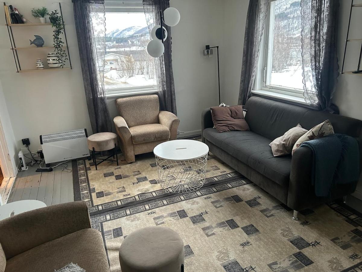 Tromsø, Lyngen, aurora borealis, ski, fishing - B&B Tromsø