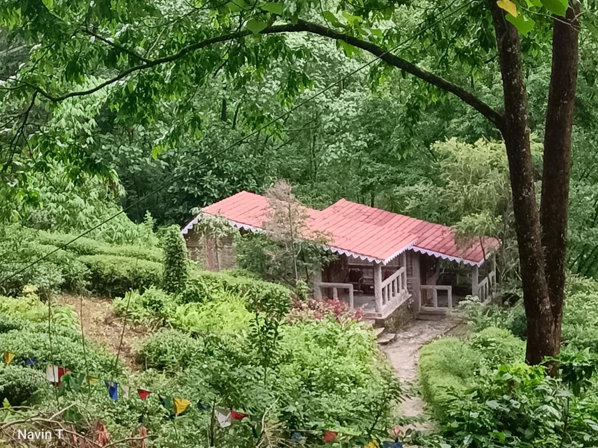 Tathagata Farm - B&B