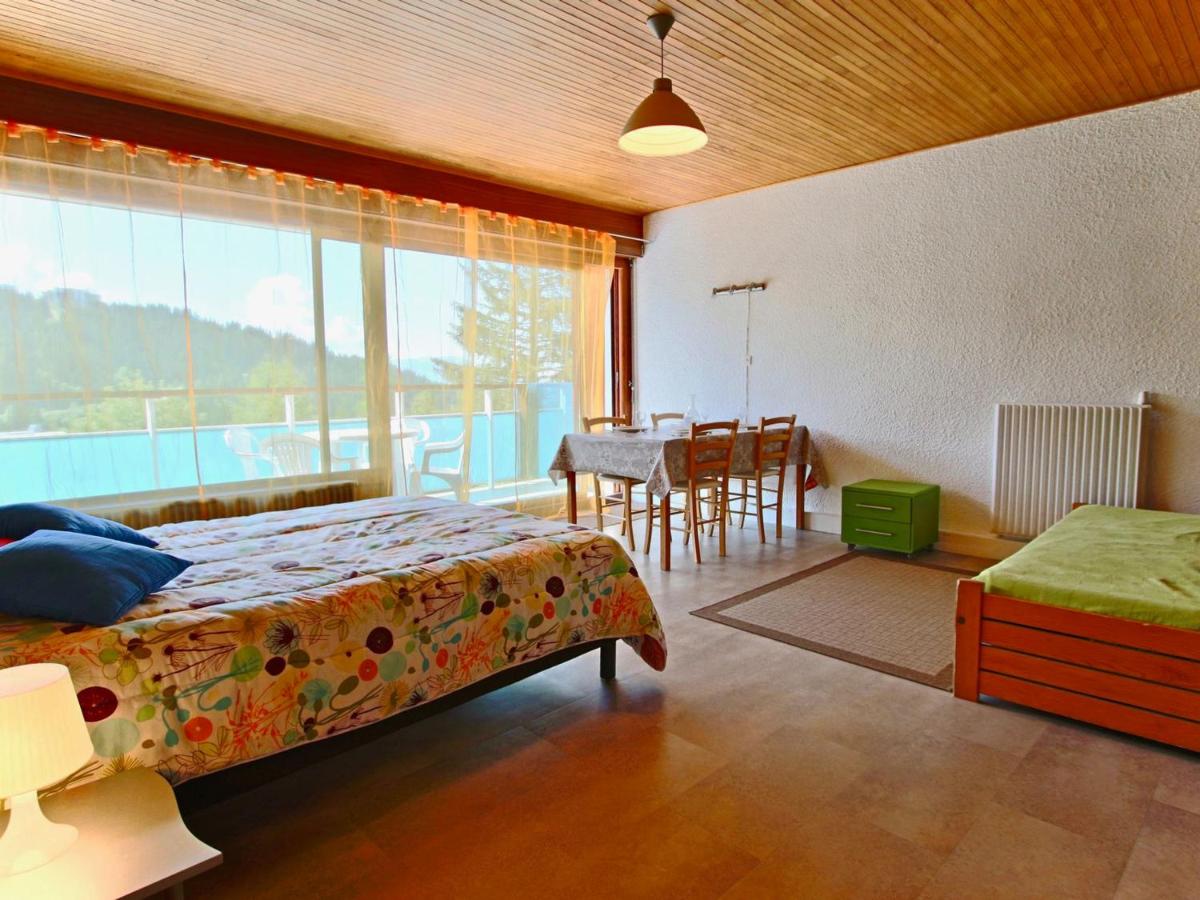 Grand studio rénové, 4 pers, animaux admis - FR-1-340-132 - B&B Chamrousse