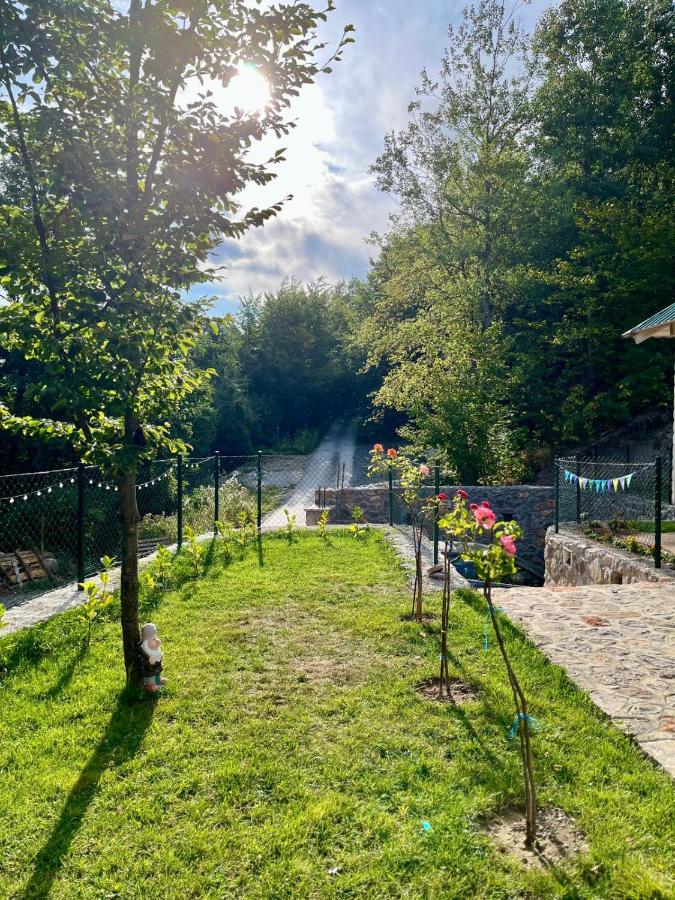 Holiday house Flores - B&B Kolašin