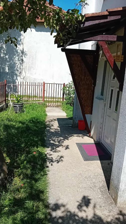 One-Bedroom Apartment with Garden