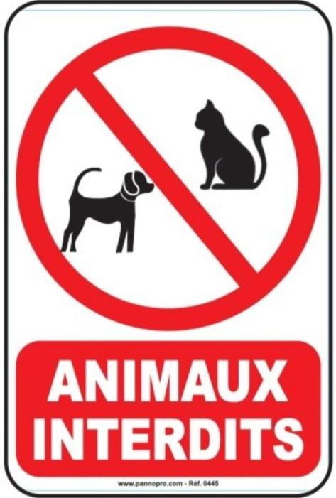 Gîte Brin d'Olivier 2 chambres 3 lits - B&B Bougneau