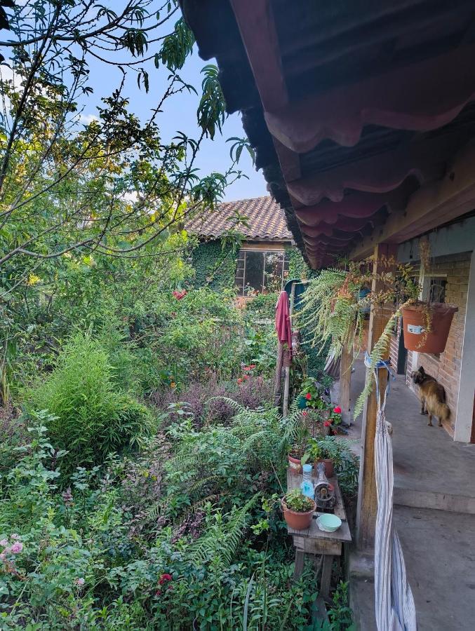 Pakarina Hospedaje Familiar - B&B Cotacachi