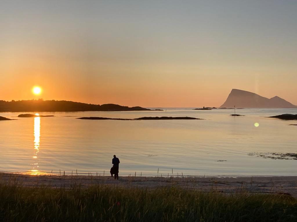 Luxury Villa Serenity - B&B Sommarøy