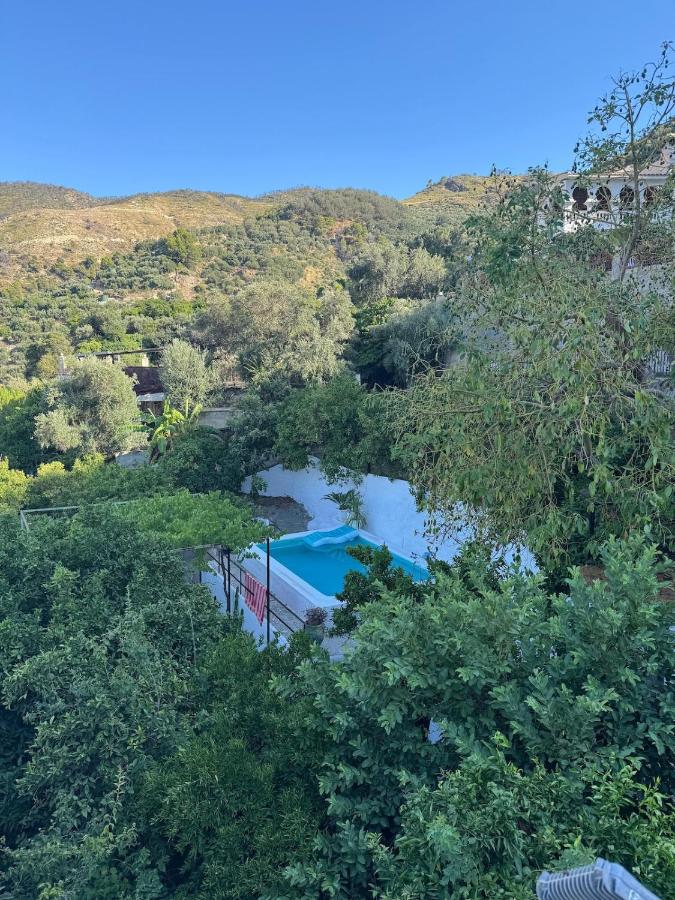 La casita del pueblo GARDEN petfrienly con chimenea - B&B Acebuches