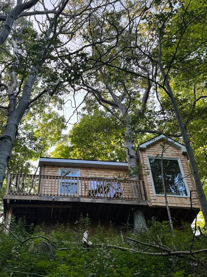 Ananda - Enchanted Forest Hideaway - B&B Pleasant Bay