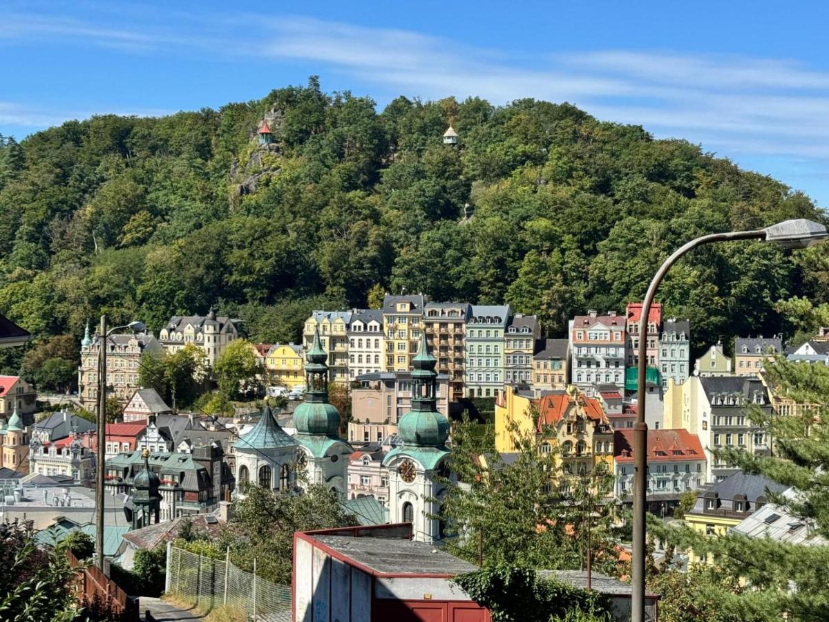 Luxury Gato View Apartment Karlovy Vary with private parking - B&B Karlovy Vary
