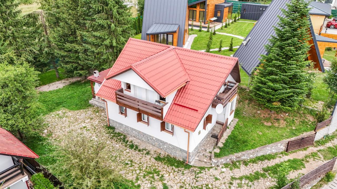 Rustic House Busteni - B&B Buşteni