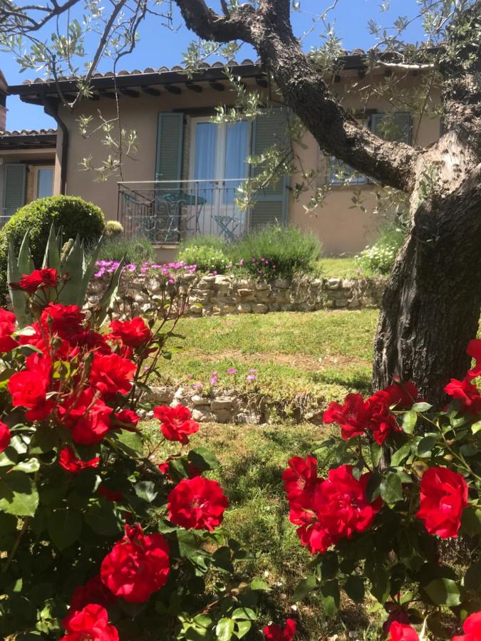 Agriturismo Collerisana - B&B Spoleto