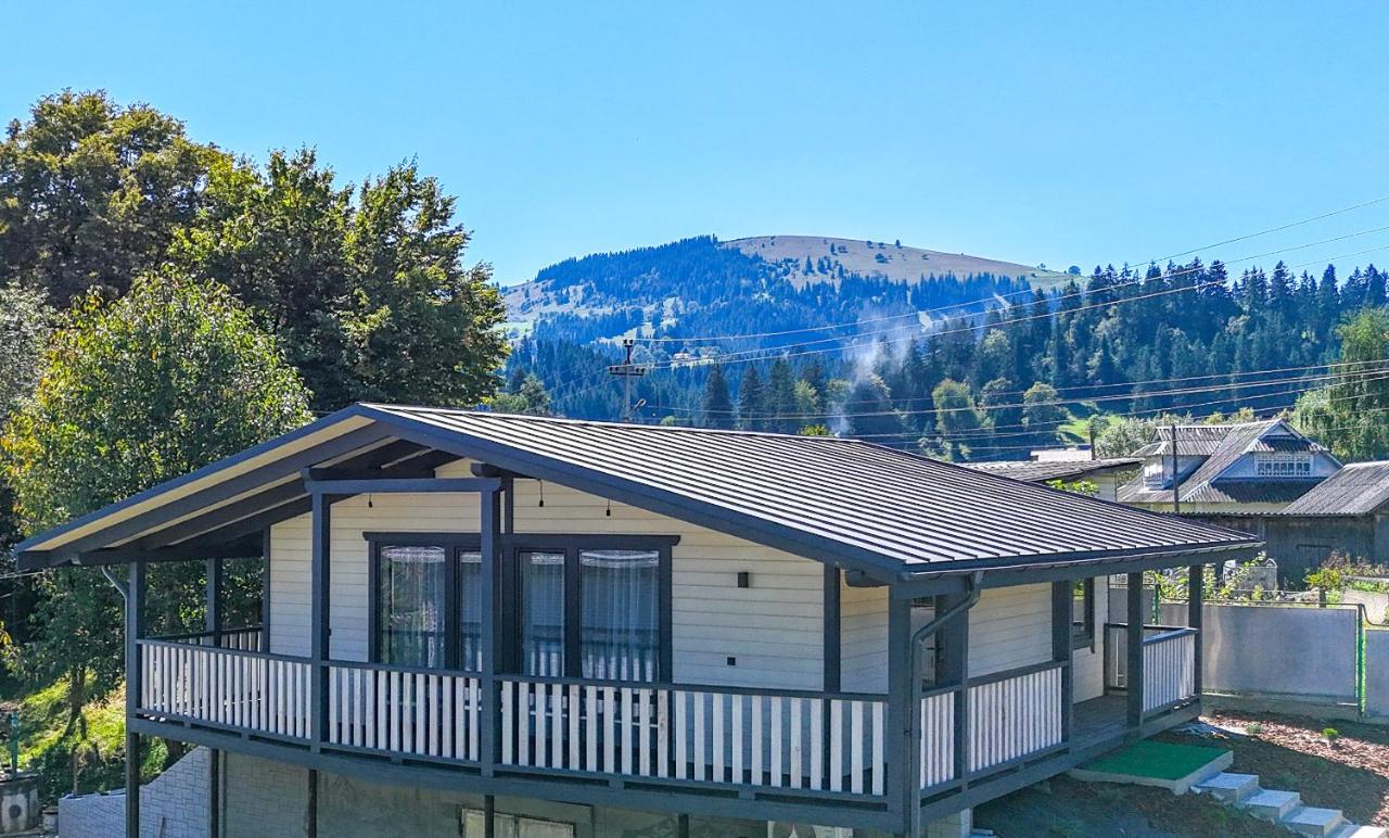 L&S WoodHouse - B&B Verkhovyna