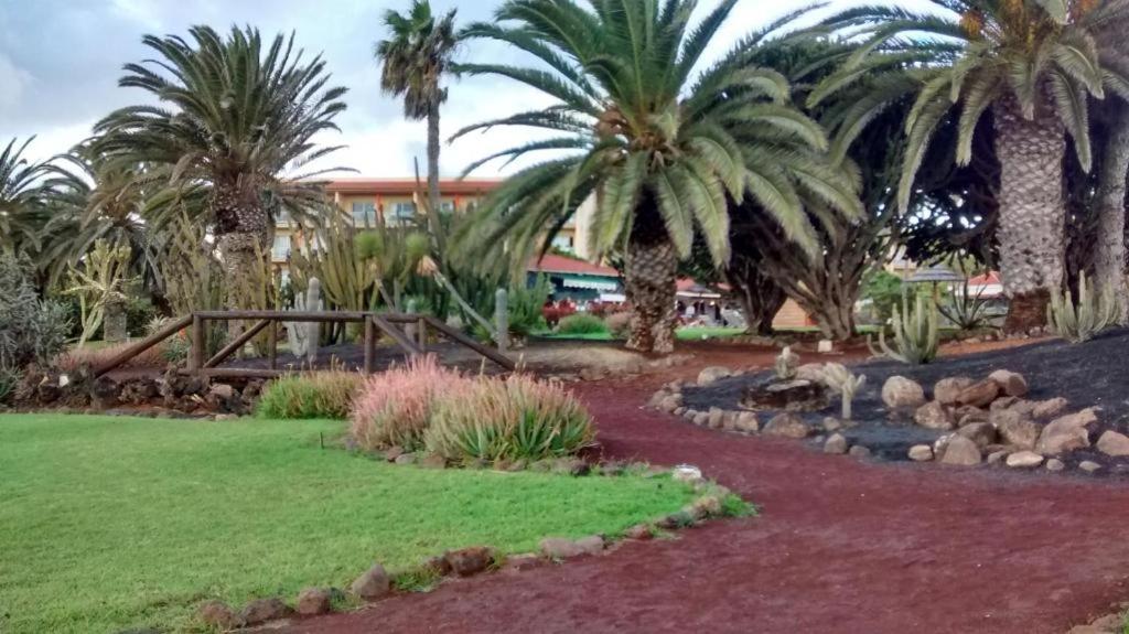 Le Poulpe bleu Fuerteventura chic and relax - B&B Puerto del Rosario
