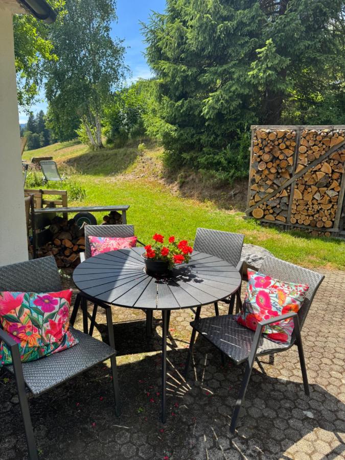 BergOase-Apart am Feldberg - Ferienwohnung Feldberg