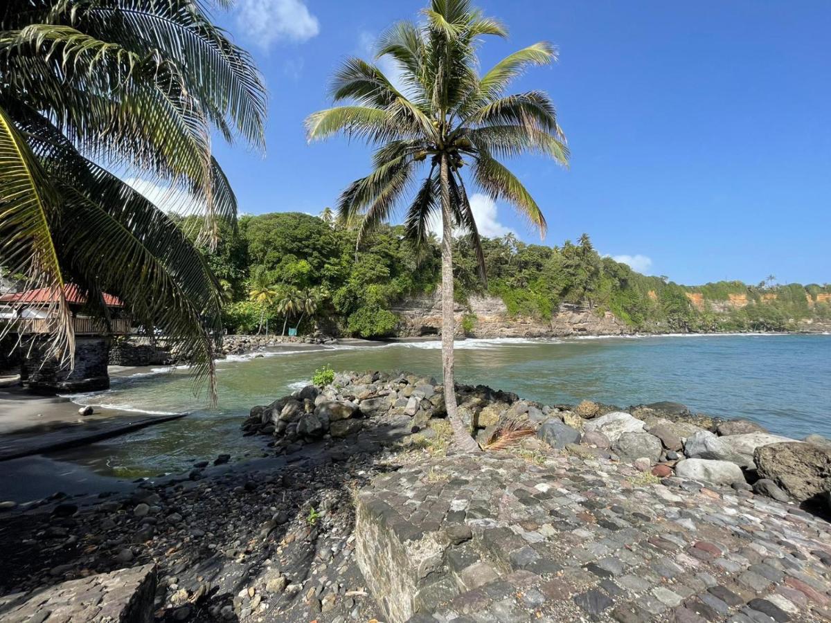 TROPIK'APPART 972 - B&B Basse-Pointe