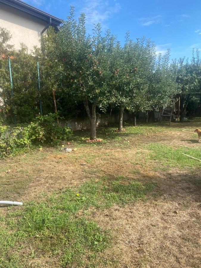 Just like your home - B&B Tecuci