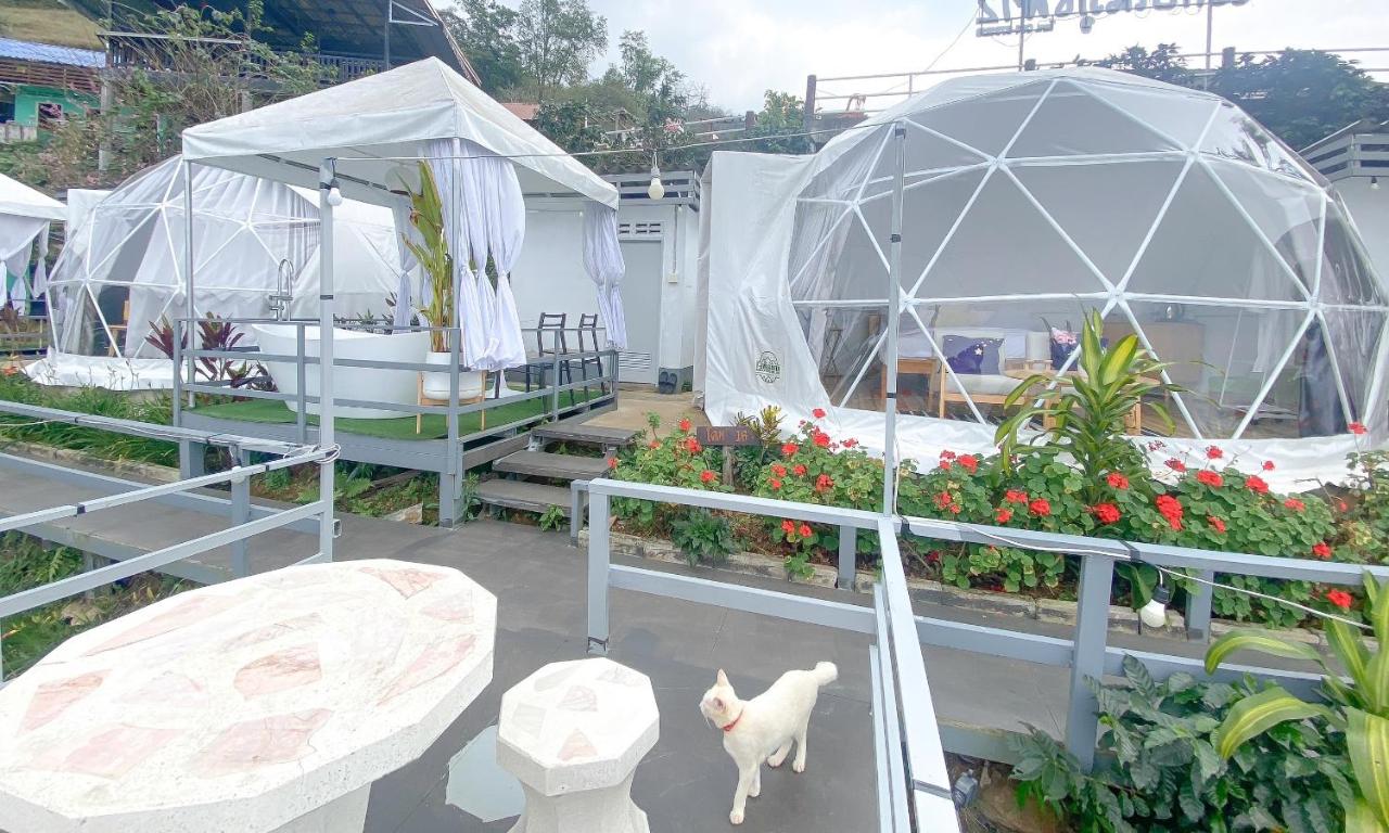 ลักษณ์ภูชี้ฟ้า 2 แบบโดม - Bed and Breakfast Ban Seng Choi