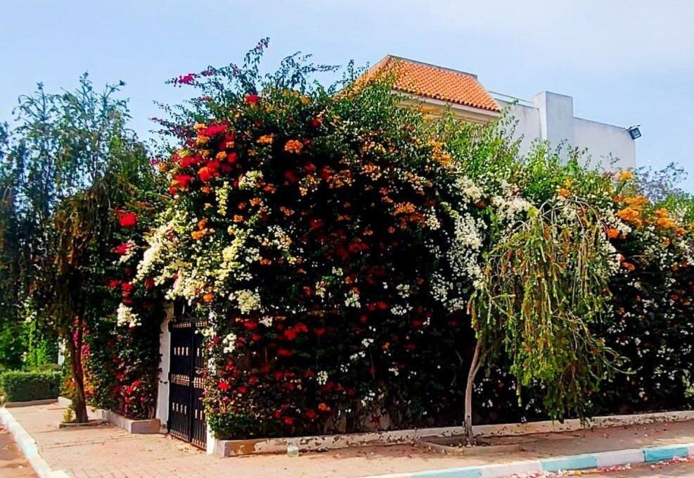 Stunning Sunny Villa, near airport - B&B Derroua