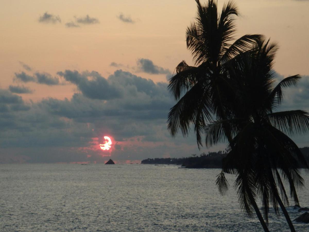 Perfect view mirissa - B&B