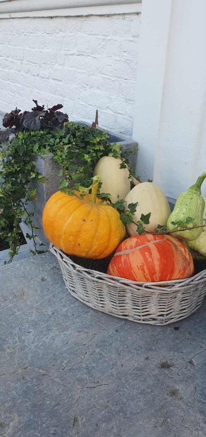 Chambres d'Hôtes des Rouets - B&B Fourmies
