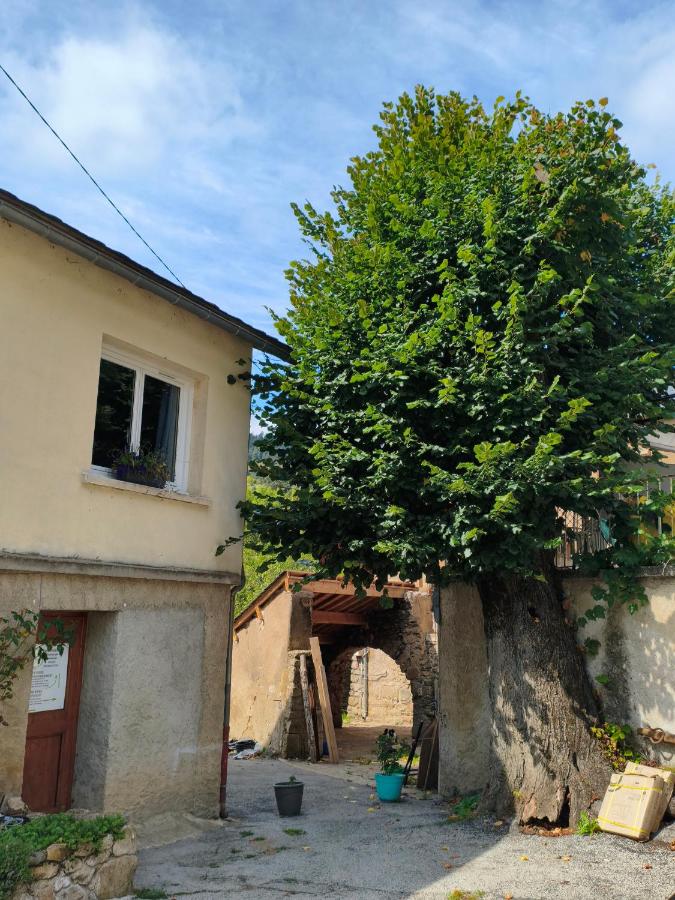 Domaine du vieux tilleul- Appartements - Gorges Tarn et Jonte - Chambres d'hôtes Meyrueis