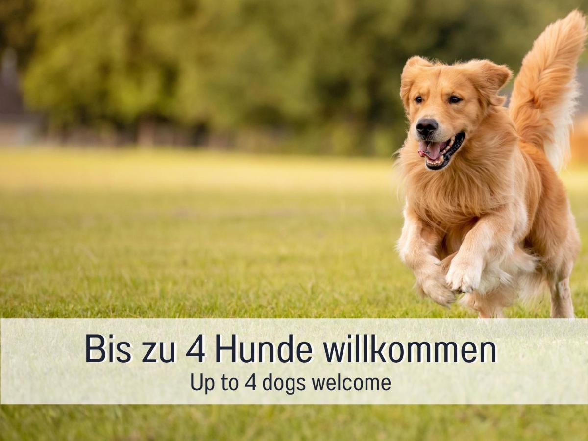 Burghalde: Sauna | Kamin | Garten | eingezäunt - B&B Alpirsbach