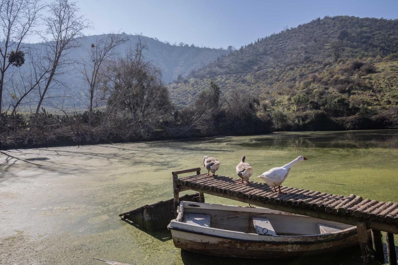 Lodge Los Naranjos de Mallarauco - B&B Melipilla