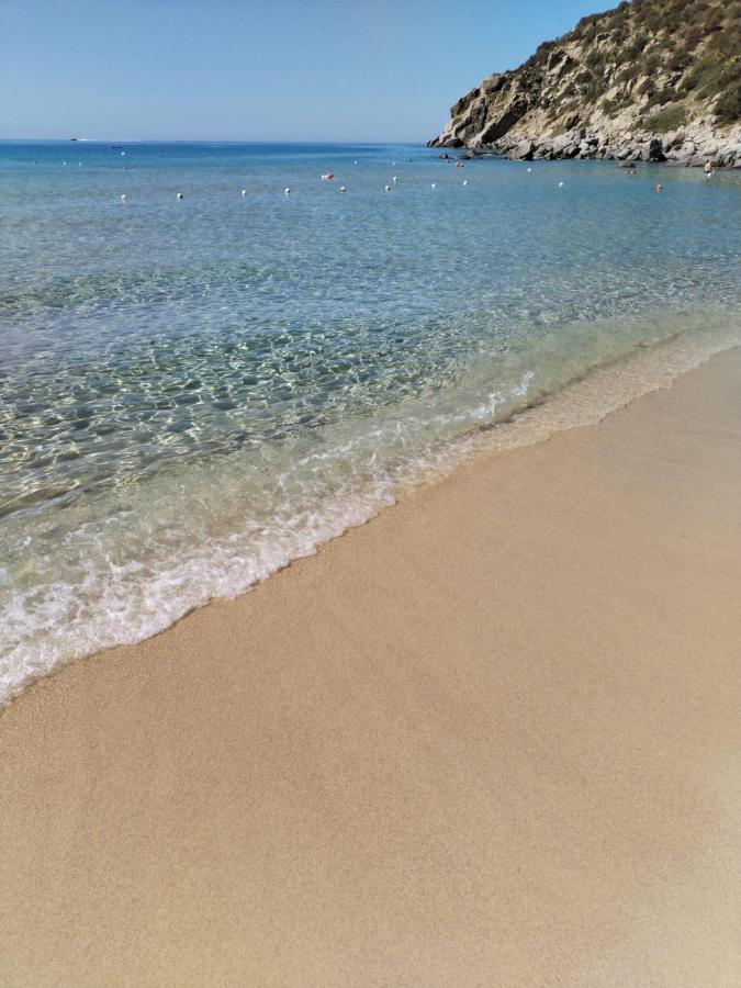 Cactus Apartments - Sea View - B&B Solanas