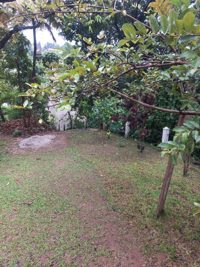 Dream Inn - B&B Kandy