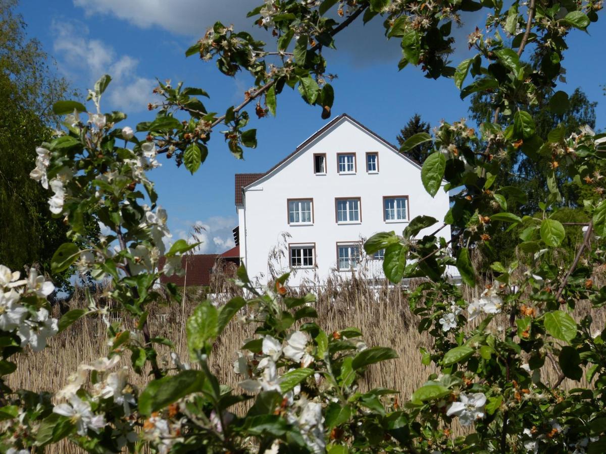 Das Haus am Teich - B&B