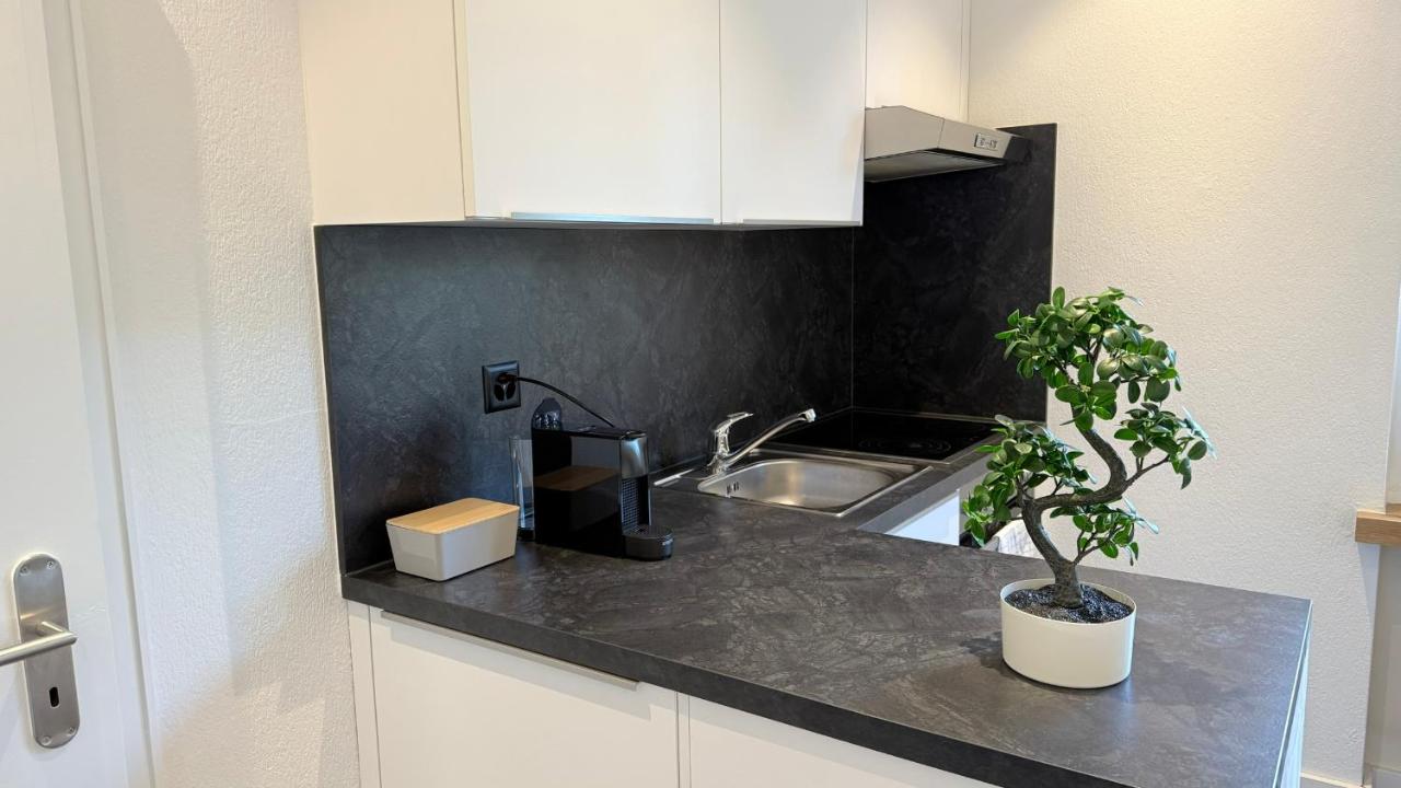 Lea Apartement - Ruhiges Studio - B&B Schaffhausen