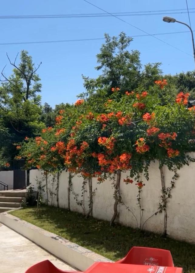 Lexhulo Room's - B&B Domje