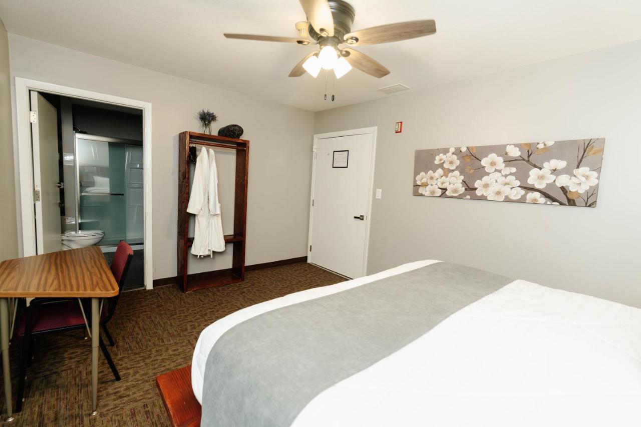 Camera King Standard