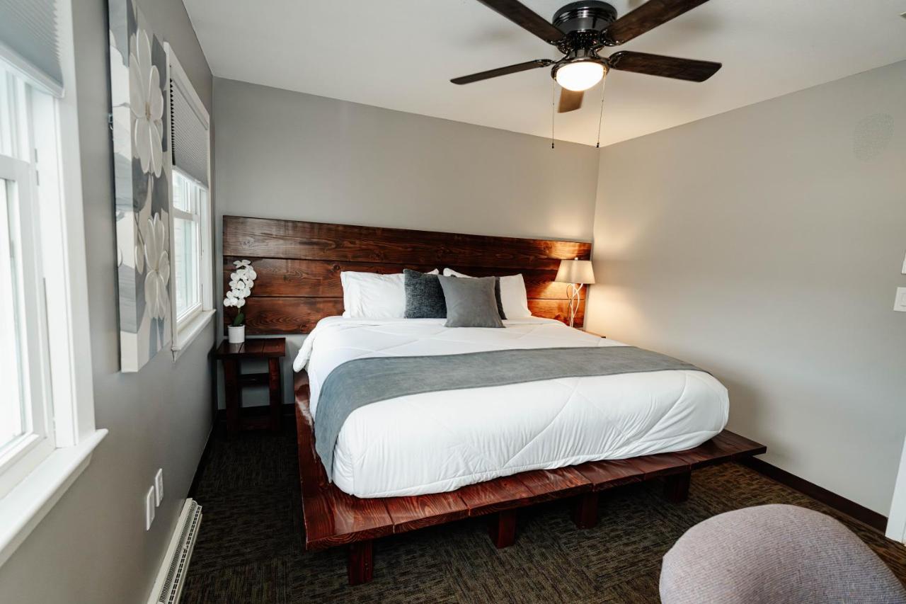 Camera King Standard