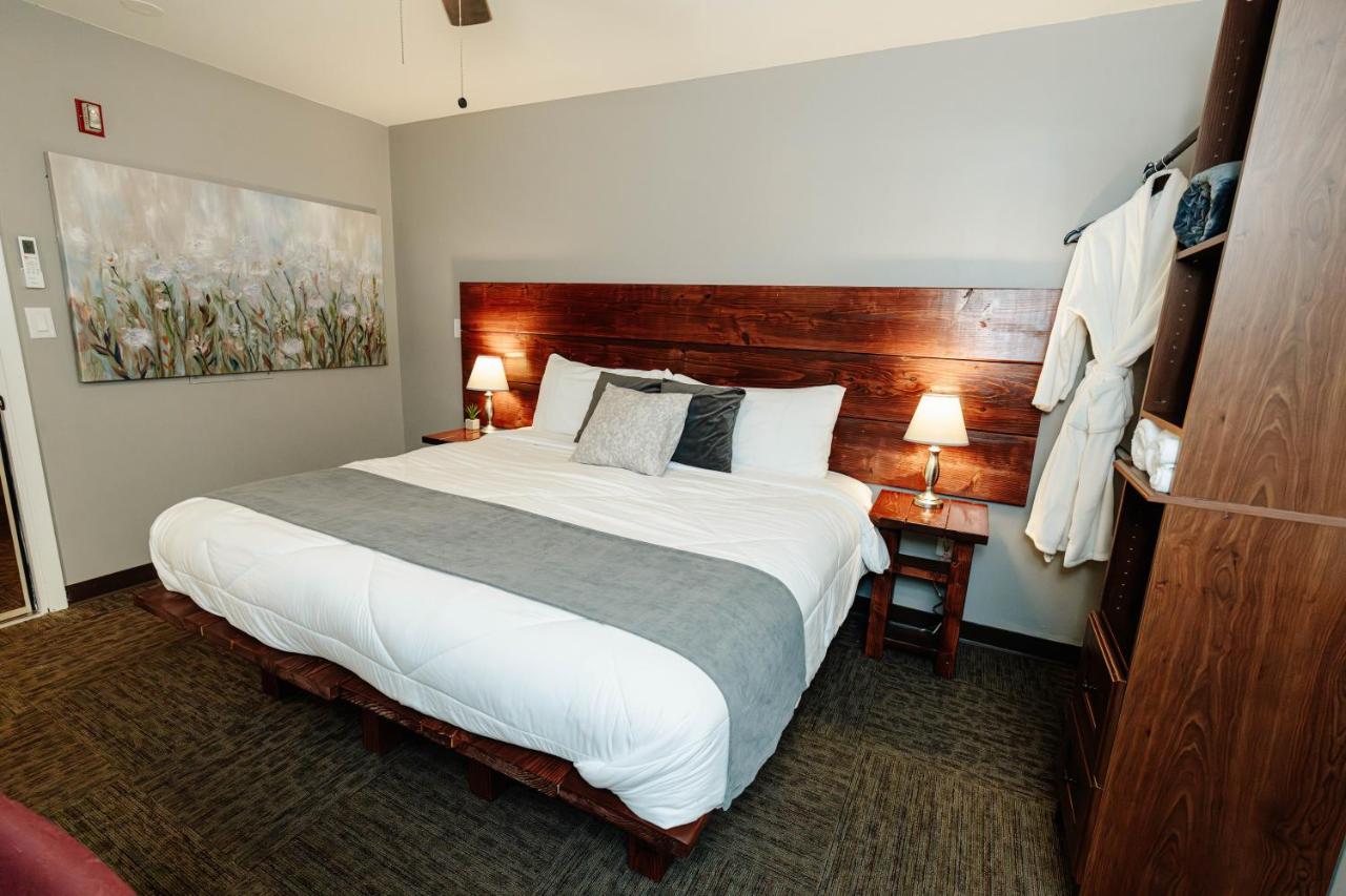 Camera King Standard