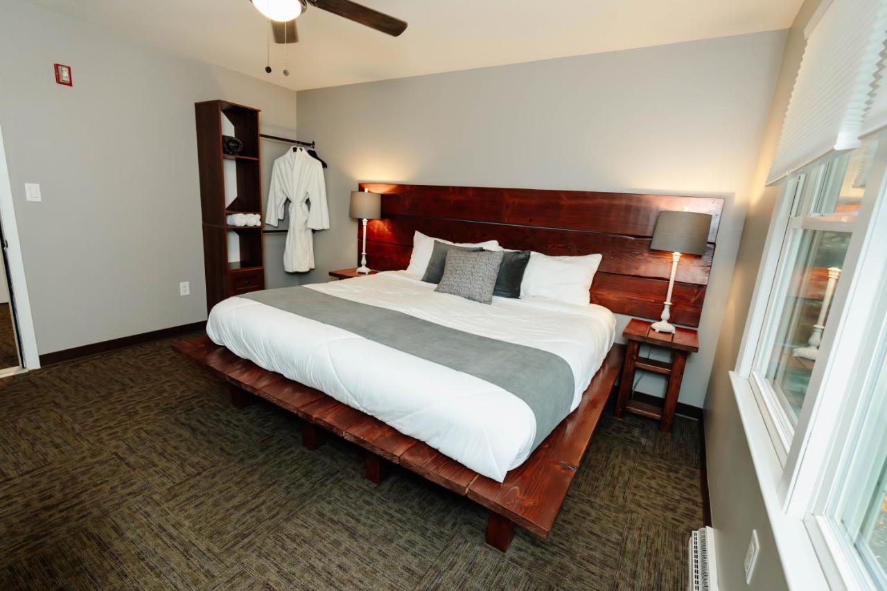 Camera King Standard