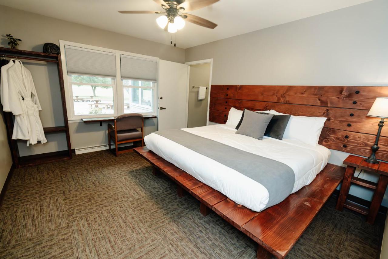 Camera King Standard