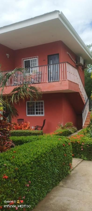 Casa palmera - B&B San Juan del Sur