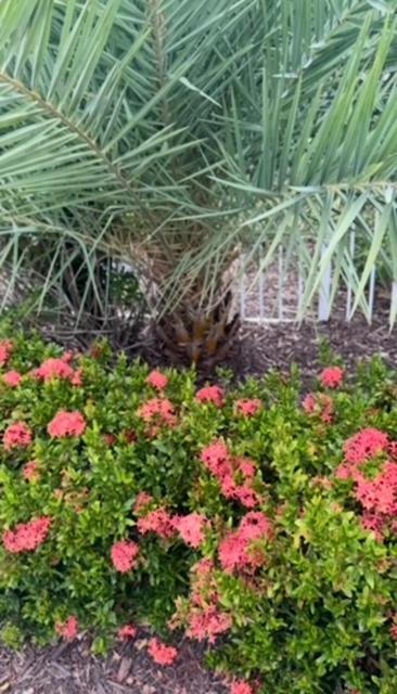 Luxury Healing Retreat North Port - Chambres d’hôtes North Port