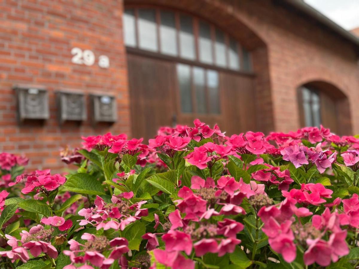 Hof Horsten - Wohnidyll in ehemaliger Scheune - B&B Bad Nenndorf