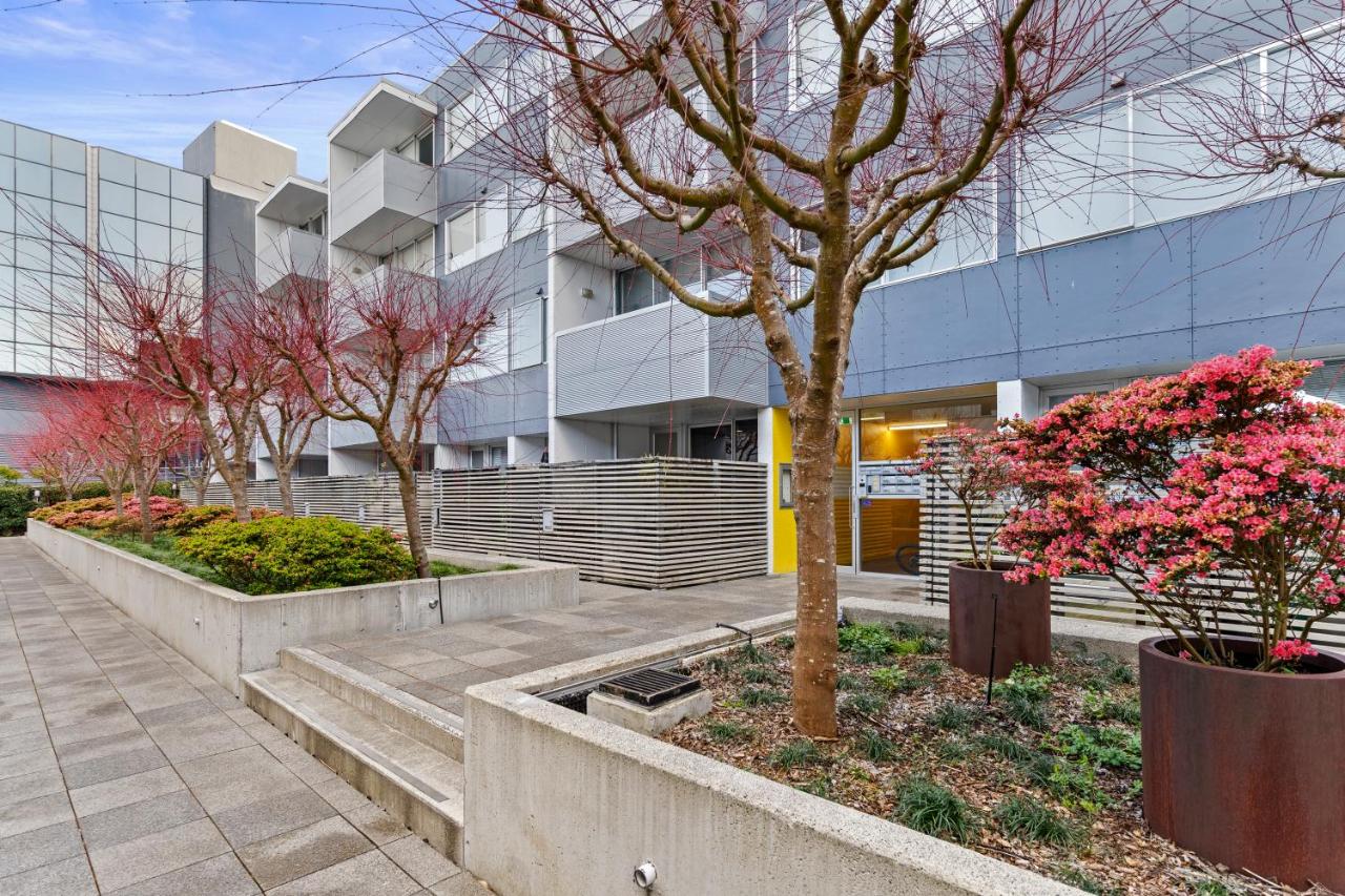 Victoria Park Haven w carpark, spa, pool and gym - B&B Auckland