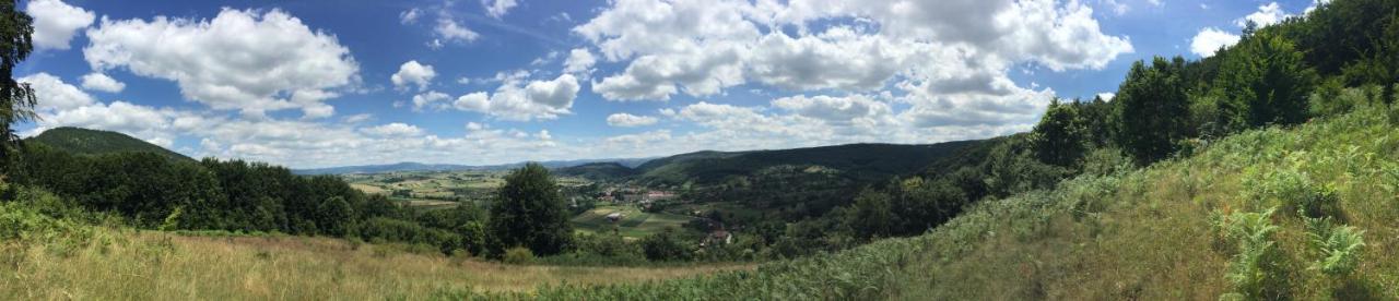 Pensiunea Tarina - B&B
