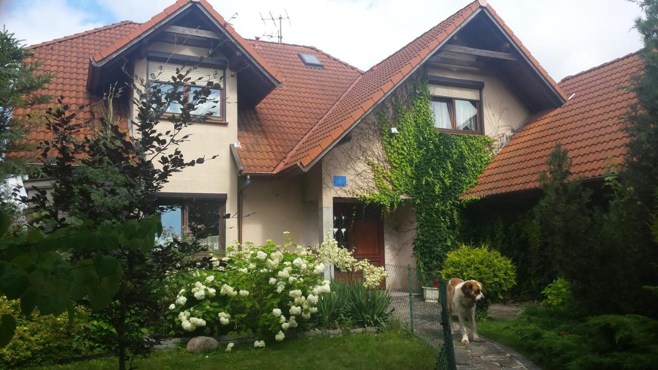 Apartament Leśna - B&B