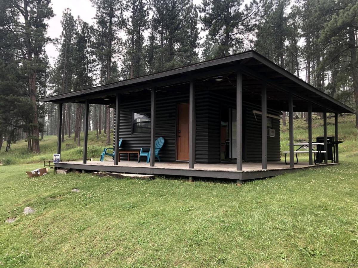 Cute Creek-Side Cabin Nestled by Mount Rushmore in Rapid City - Bed and Breakfast Rapid City