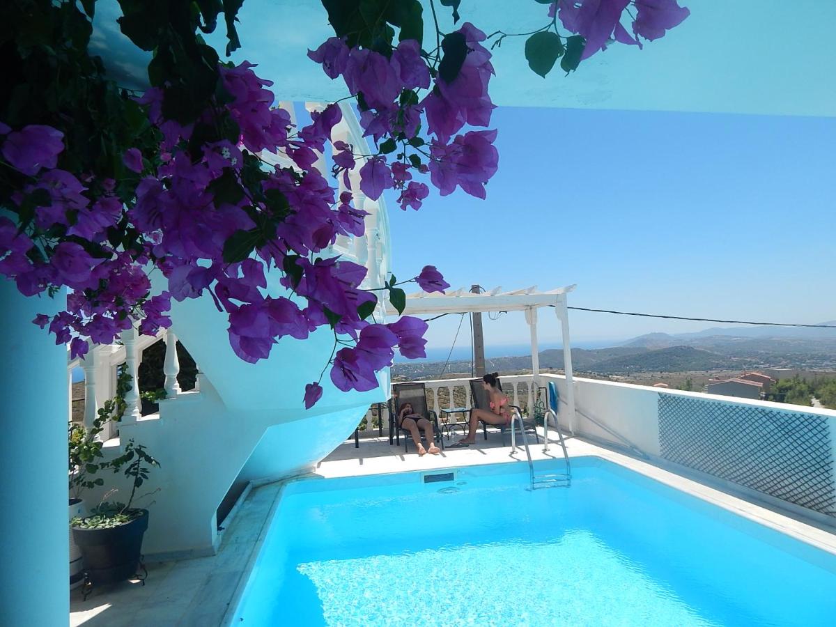 B&B Drafi - Peggy's Villa-House with private pool 25' from Athens Intl Airport - Bed and Breakfast Drafi